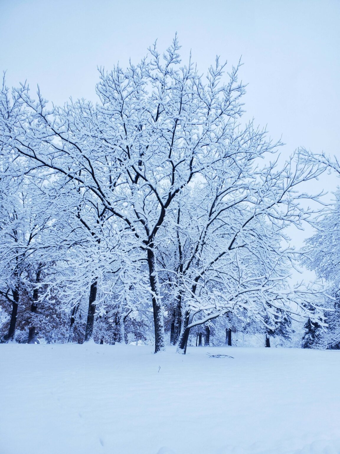 chris-brinkman-scaled